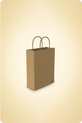 Twisted Handle Paper Bag