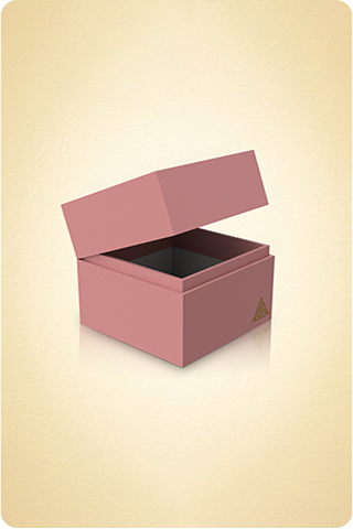 Watch Box
